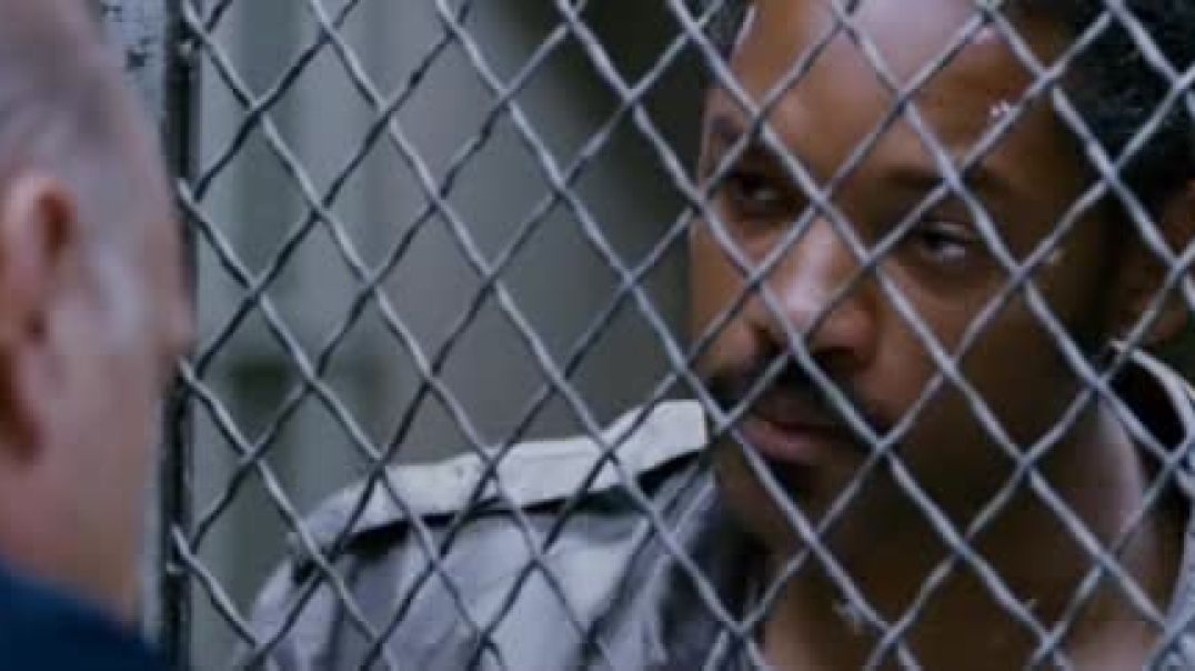 Persuit of Happiness